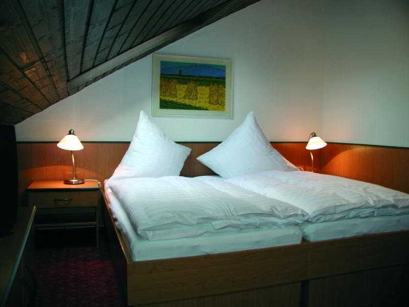 Hotel Traube Оффенбург Екстер'єр фото